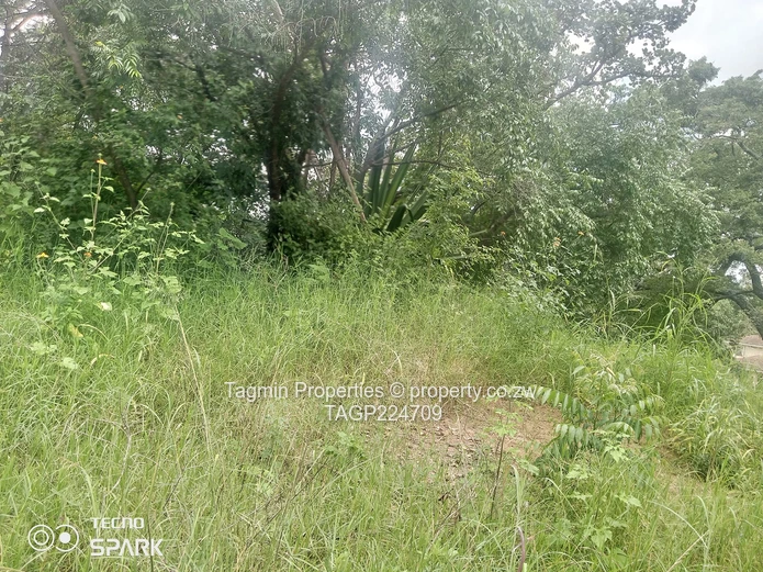 Glen Lorne vacant stand