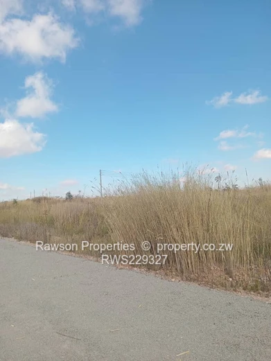 Grab It And Go (Sole Mandate)