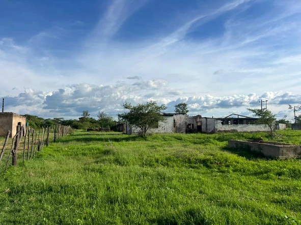 Farm & Agricultural Land