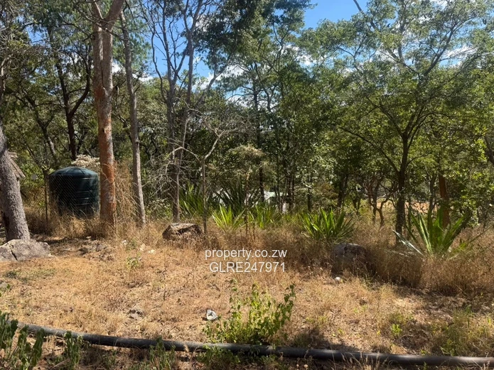 3500m² Tree-Shaded Stand with Gated Access in Glen Lorne