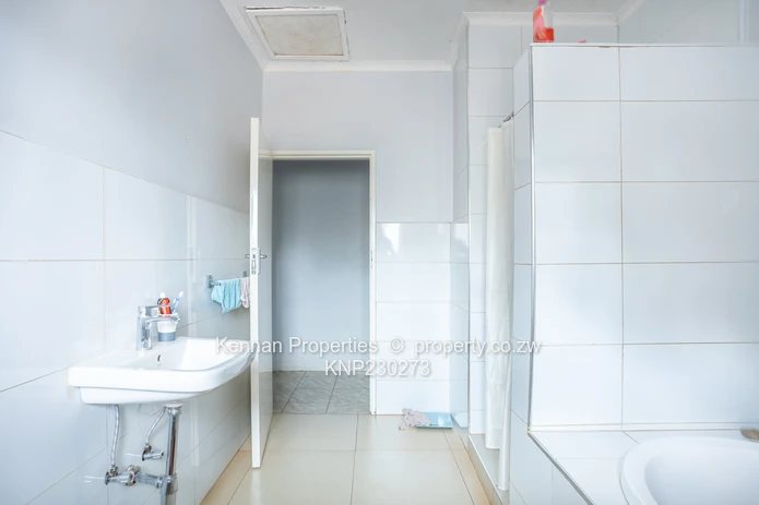 Potential On Arcturus Road - Nostro!