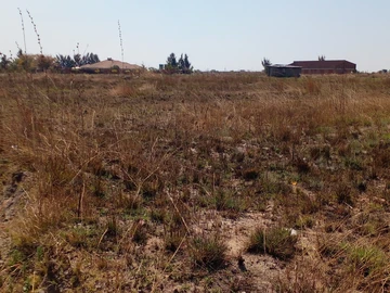 Farm & Agricultural Land