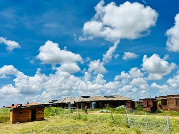 Stands & Residential Land