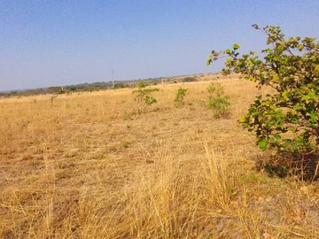 Commercial & Industrial Land