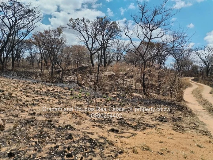 Bulawayo Fortunes Gate pieces of land for sale