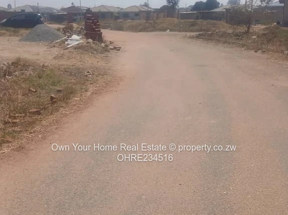 Galudina Stand for sale 