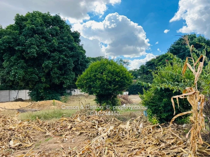 Subdivision stand for sale