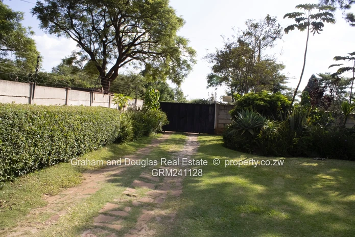 Property on Auction (Sole Mandate)