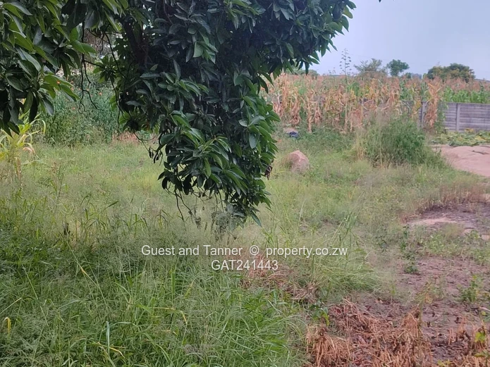 3-Bedroom Cottage In Hatfield For Sale 