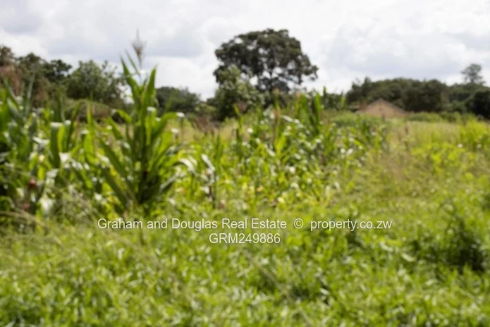 Waterfalls property for sale