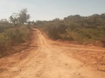 Farm & Agricultural Land