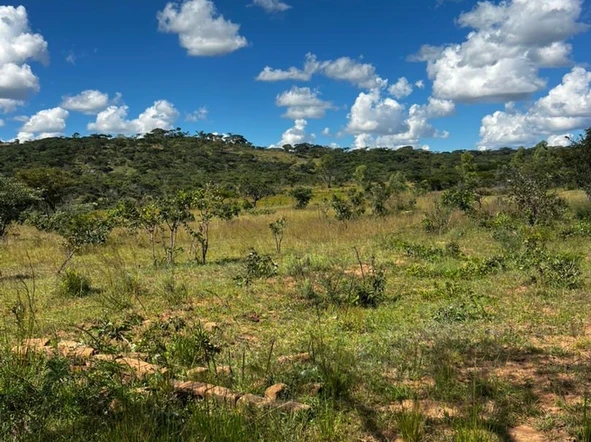 Farm & Agricultural Land