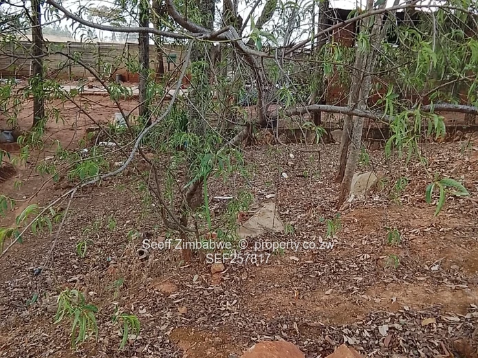 2000m² Carrick Creagh — Stand For Sale I $180,000