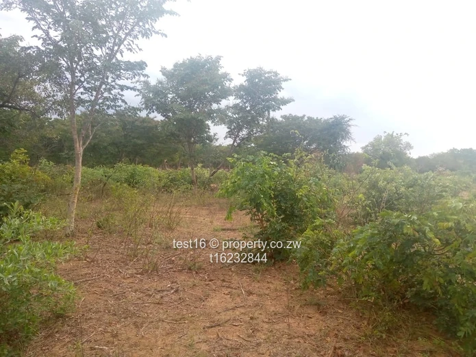 3750 hac in Nyamandhlovu 