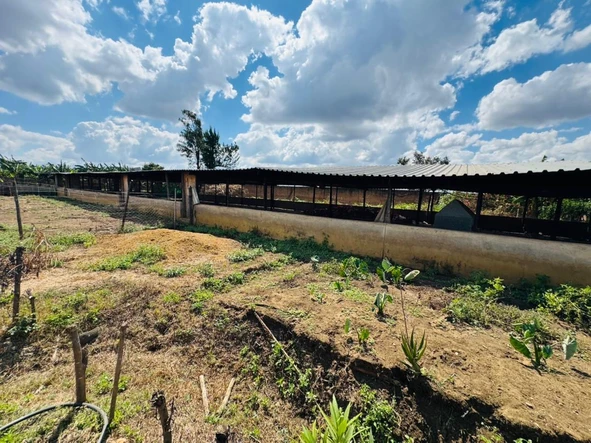 Farm & Agricultural Land