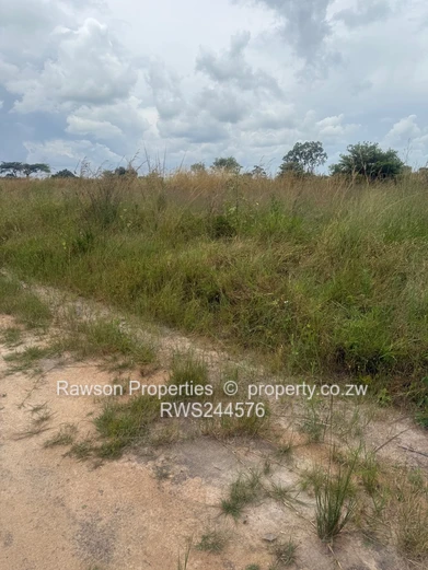 Make a good choice and secure a stand!!