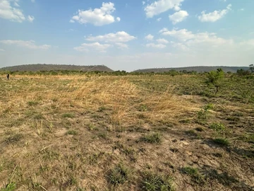 Farm & Agricultural Land