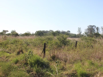 Commercial & Industrial Land