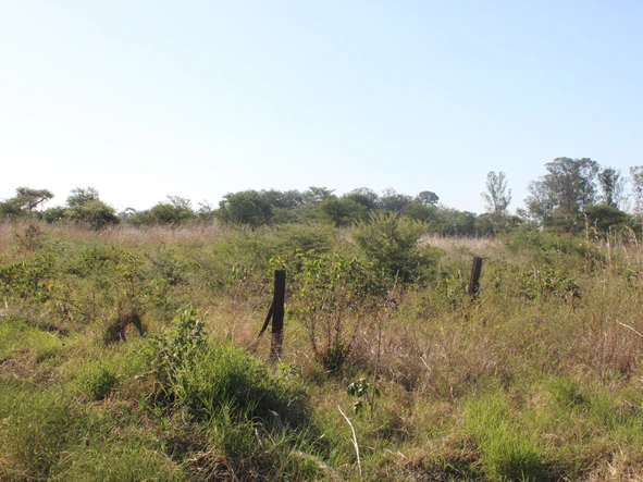 Commercial & Industrial Land