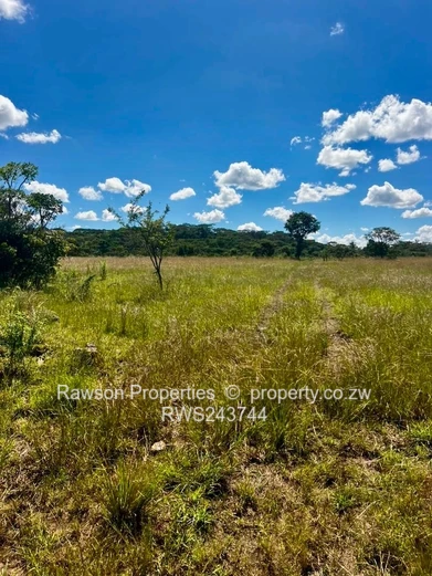 Gutu farm for sale 