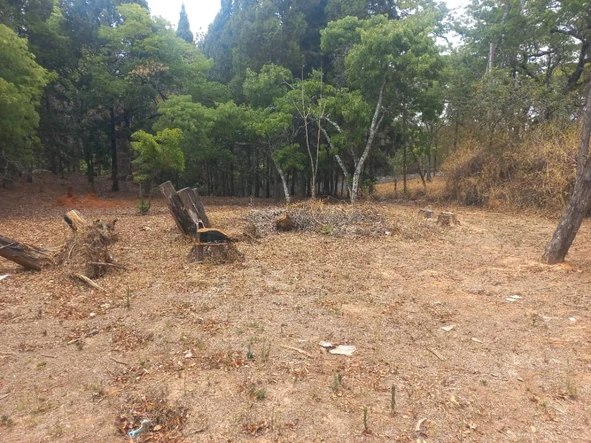 Stands & Residential Land