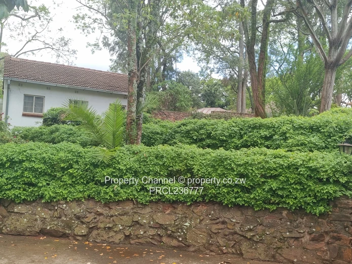 The Ridge - Avondale: Beautiful Cozy House For Sale