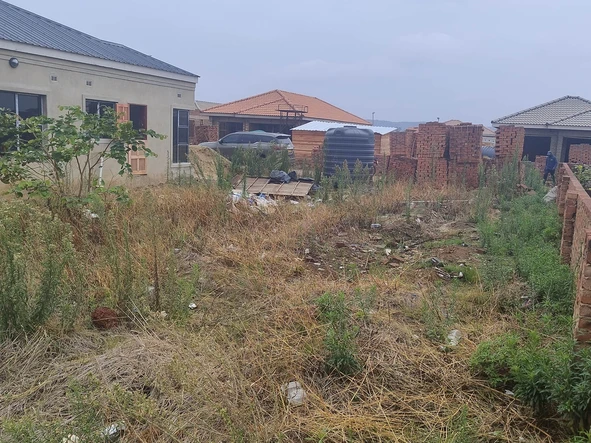 Stands & Residential Land