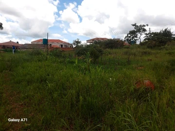 Stands & Residential Land