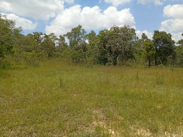 Farm & Agricultural Land