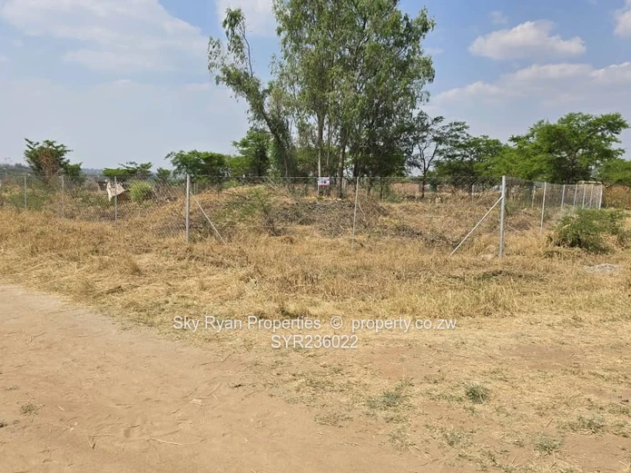 Crowhill Stand For Sale