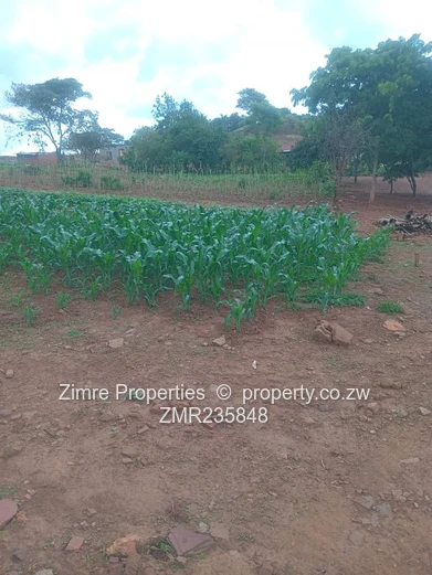 Tynwald - Kuwadzana Roundabout Area