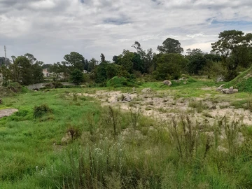 Stands & Residential Land