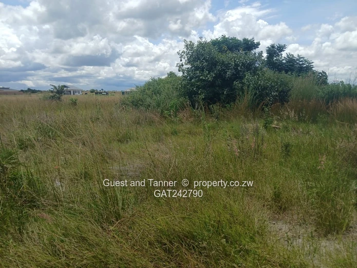 2 Stands For Sale - Penrose, Nyabira