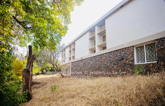 4 Bedroom house in Greystone Park with exceptional design potential.