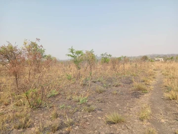 Farm & Agricultural Land