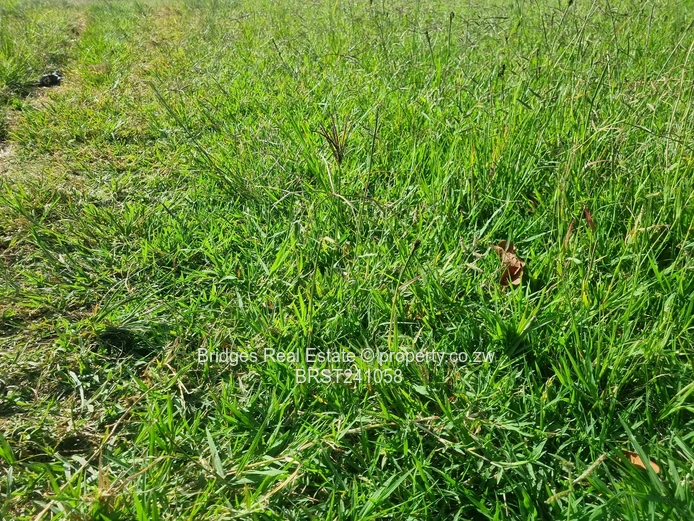 Agro Residential Parcel (Sole Mandate)