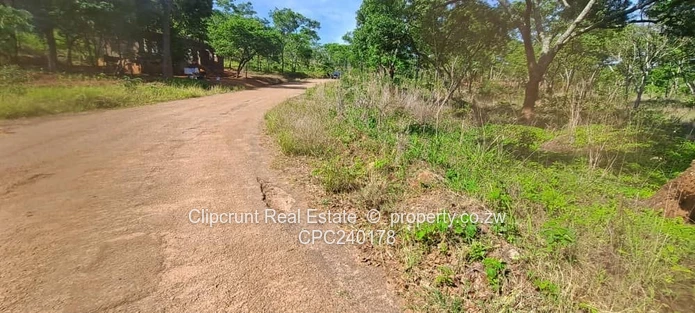 Borrowdale Carrick Creagh Stand For Sale