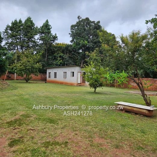 A prime Stand in the Leafy side of Mandara