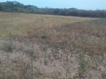 Farm & Agricultural Land