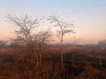 Land
