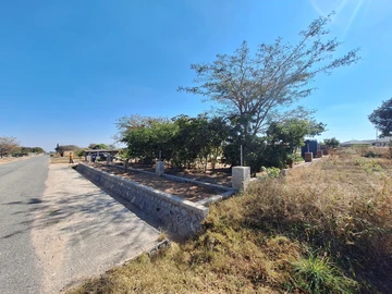 Stands & Residential Land