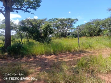 Farm & Agricultural Land
