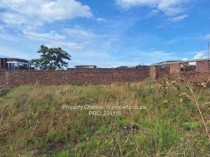 Buy, build and settle!