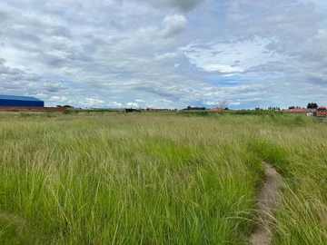 Commercial & Industrial Land