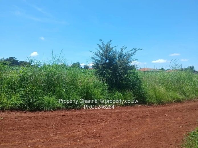 Stand for Sale in Glenforest 