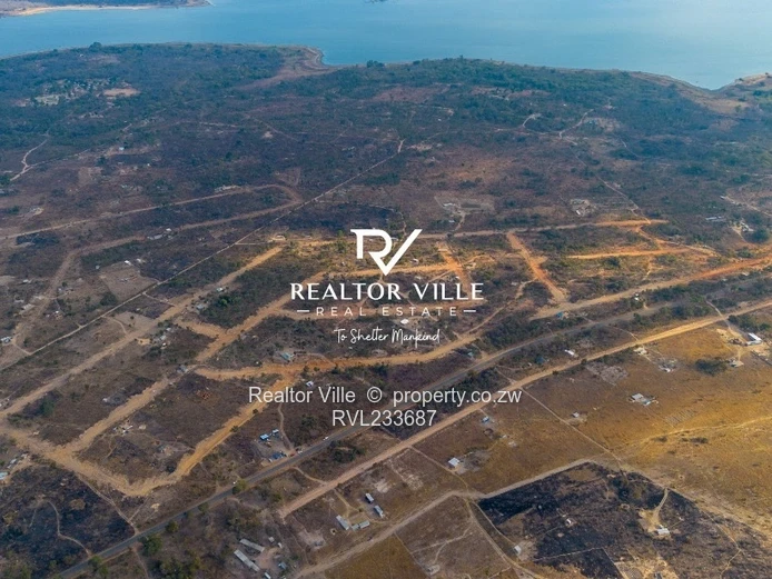 Lake City Stands For Sale  (Sole Mandate)