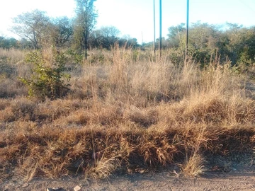 Farm & Agricultural Land
