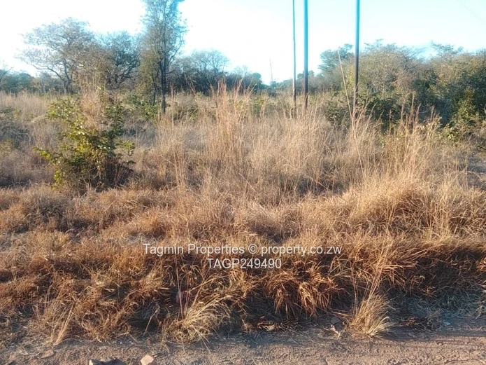 100hetres farm forsale kadoma 10km from Kadoma CBD along bulawayo road  (Sole Mandate)