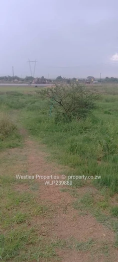 An opportunity not to miss