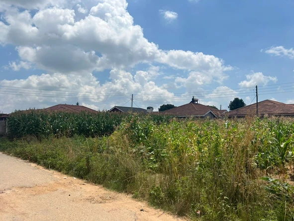 Commercial & Industrial Land